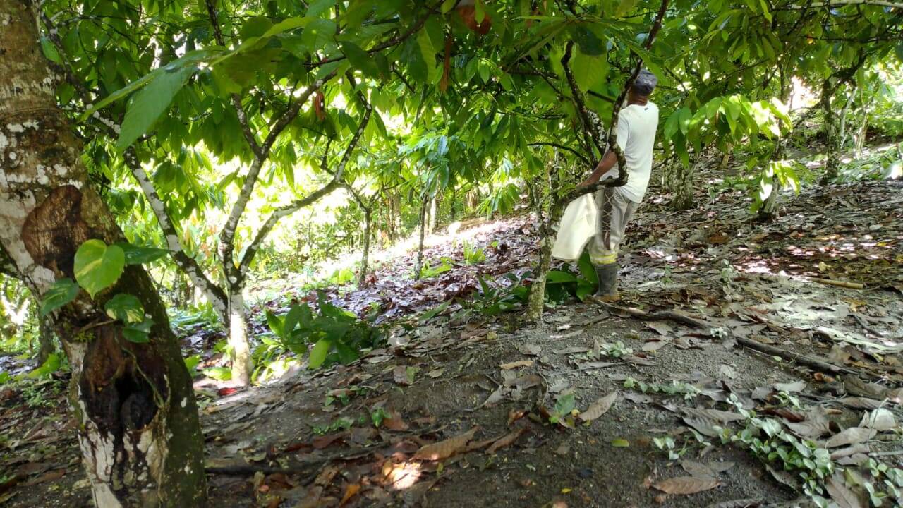 Sítio, 5 quartos, 18 m² - Foto 2