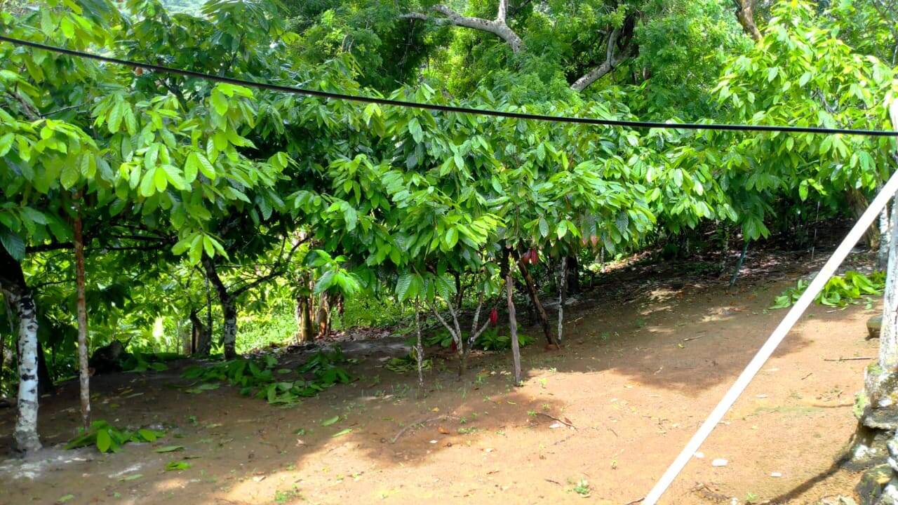 Sítio, 5 quartos, 18 m² - Foto 5