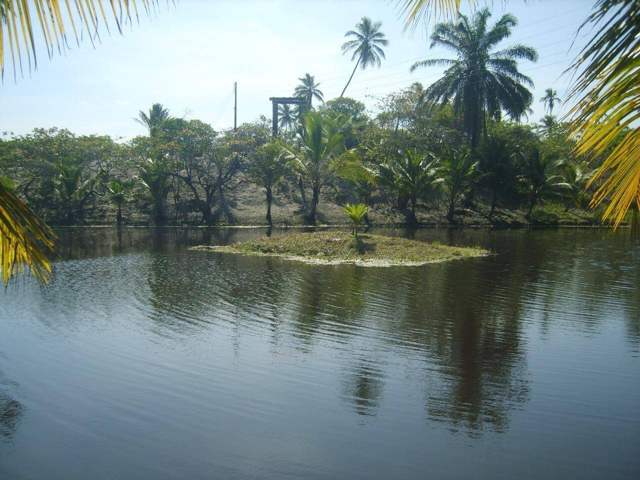 Terreno, 27 m² - Foto 4