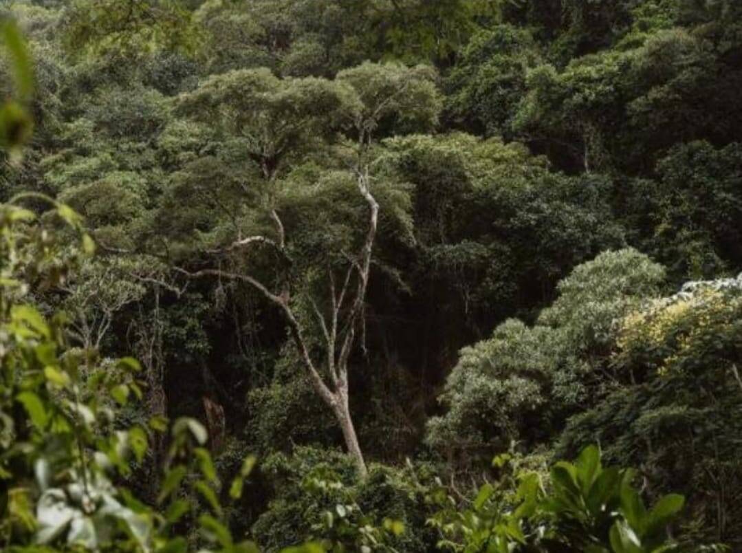 #85 - Área para Venda em Itabuna - BA