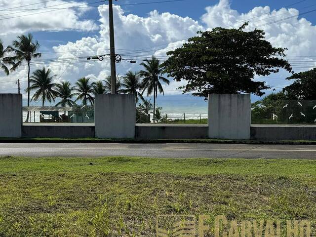 #50 - Área para Venda em Ilhéus - BA - 3