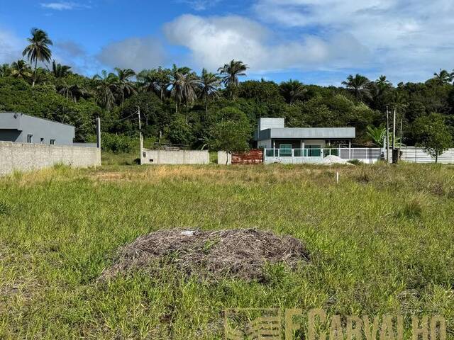 Venda em Jardim Atlântico - Ilhéus
