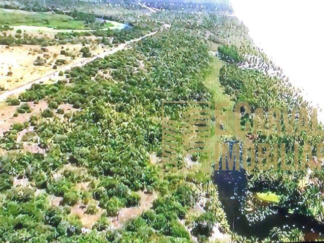 #74 - Fazenda para Venda em Ilhéus - BA - 3