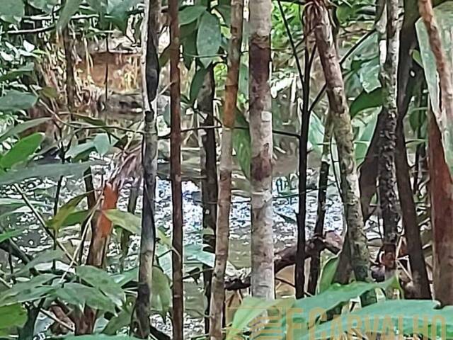 #85 - Área para Venda em Itabuna - BA - 2