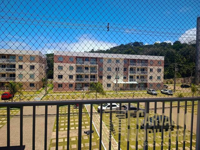 Apartamento para Locação em Ilhéus - 4