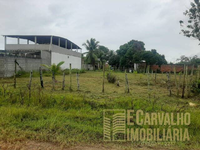 #146 - Área para Venda em Ilhéus - BA - 1